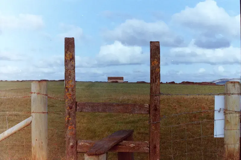 Weathered wooden fence posts in an open grassy field below a cloud-filled sky.