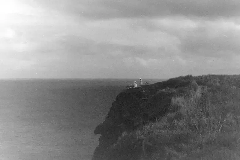A black-and-white view of a sea cliff and distant horizon beneath heavy clouds.
